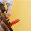 Handyman repair service in Fort Worth, TX for home fixes and improvements