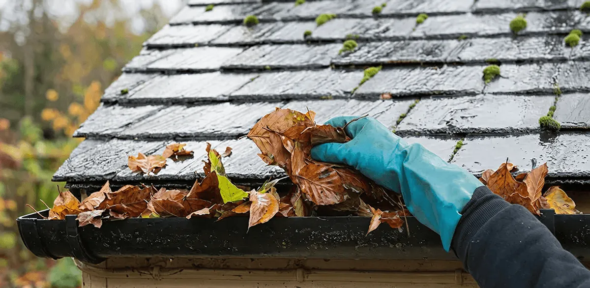 Gutter cleaning technician clearing wet leaves from roof gutters in Fort Worth, TX